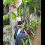 हाई सिक्योरिटी में सौरव और साथी…अब दोनों लोकायत की 7 दिन की रिमांड पर..