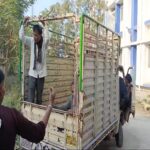 जादू टोने के शक में भाई ने की भाई की हत्या,बोरिंग में पानी कम होने पर थी जादू टोने की आशंका …