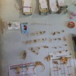 रतलाम: ट्रेन में मिला लावारिस बैग, युवकों की ईमानदारी से पुलिस के हवाले