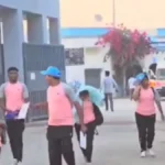 सीएम राईज स्कूल में मधुमक्खियों का हमला, मची अफरा तफरी , 8 घायल…